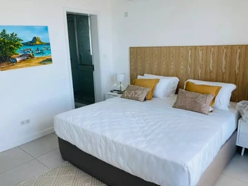 3 Bedroom Penthouse