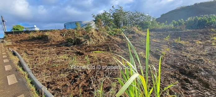 Agricultural Land For Sale In Cluny