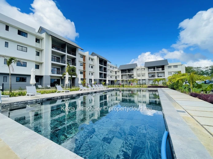 Contemporary Apartment