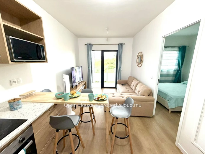 Furnished 1-Bedroom Apartment for Rent in Tamarin Smart City