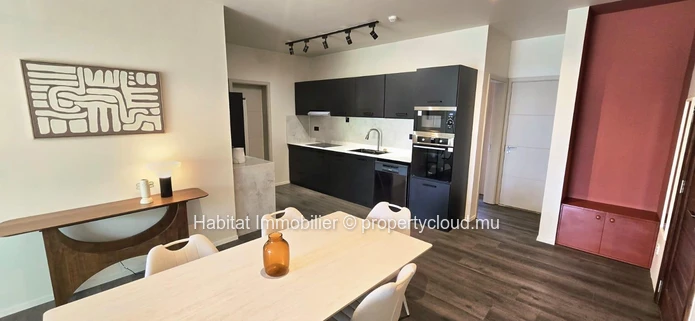Appartement contemporain meublé et équipé de 104 m² à Helvétia