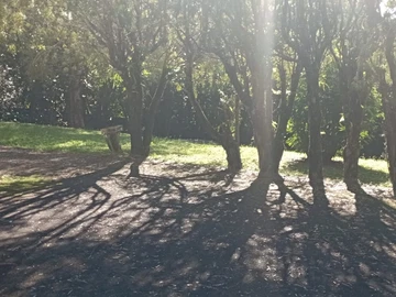 Terrain Résidentiel