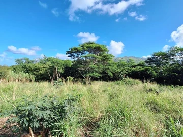 Agricultural Land