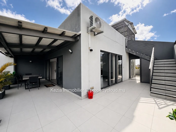 Penthouse With Private Rooftop