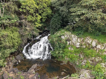 Terrain