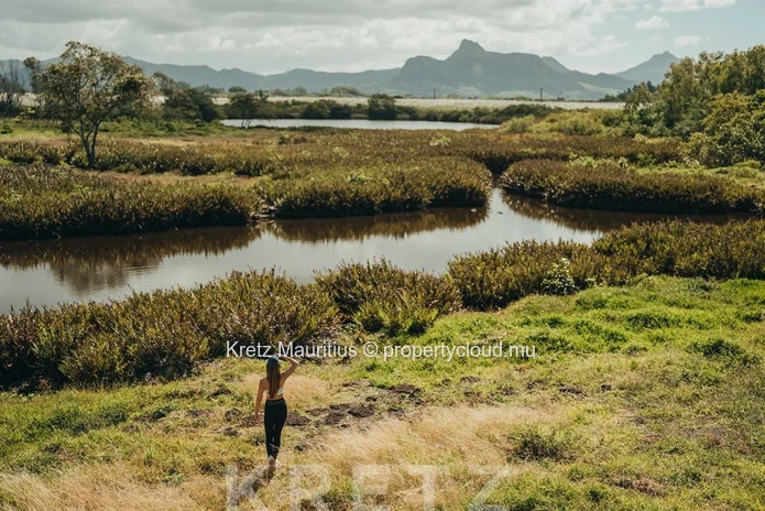 Une oasis tropicale à deux pas du lagon de Pointe d'Esny