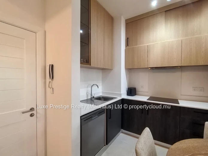Brand-New Fully Furnished 2-Bedroom Apartment for Rent in Indigo, Beau Plan | Communal Pool | Near Northfields Intern...