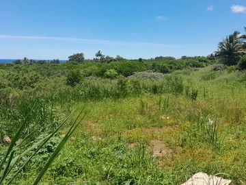 Commercial Land