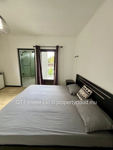 Duplex Moderne – Pointe Aux Cannonier 