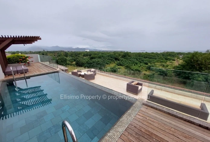 Penthouse Balaclava