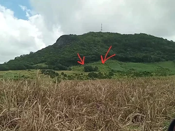 Agricultural Land