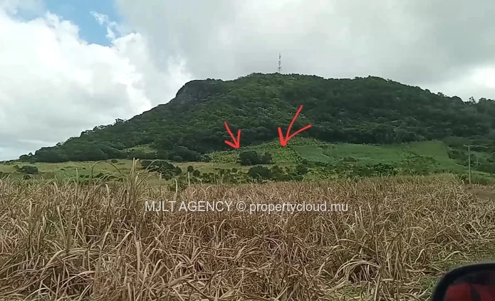 Agricultural land - 6450 m² Surinam, South