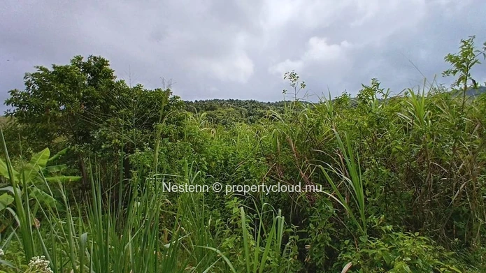 Terrain agricole exceptionnel de 4221 m² à Chamouny