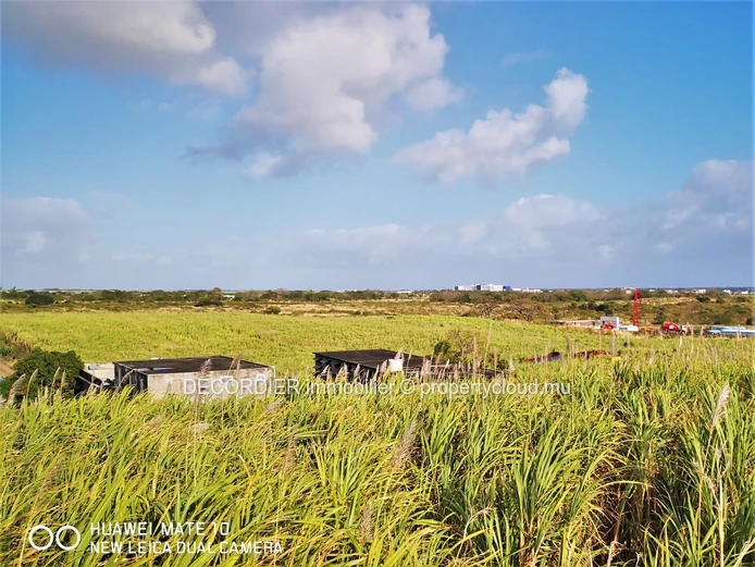 A vendre terrain agricole de 3.5 Arpents – Mont Mascal - Grand Baie