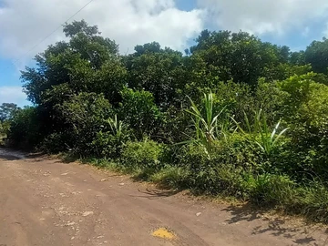 Agricultural Land