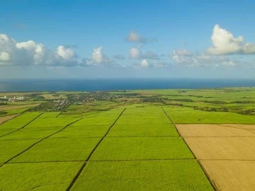 Terrain Agricole