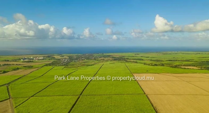 Les Parcelles – A Perfectly Balanced Plot for Cultivation and Growth
