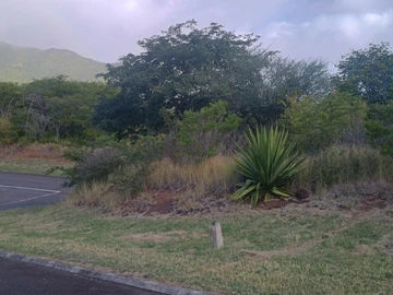 Residential Land