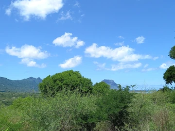 Residential Land