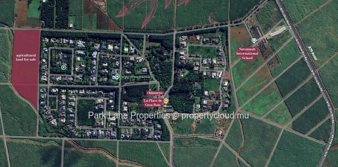Les Parcelles – Cultivating Space, Nature, and Long-Term Value