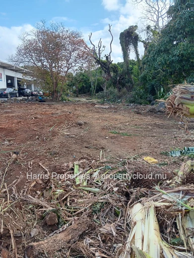 Residential land of 28 perches for sale in Flacq 