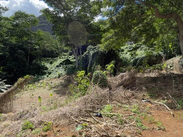 Residential Land
