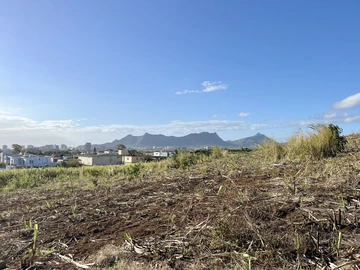 Agricultural Land