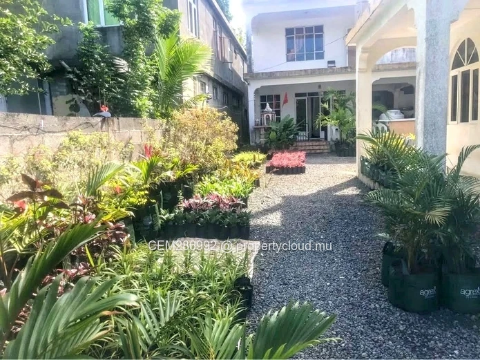 Deux maisons + pépinière à vendre - Quatre Cocos