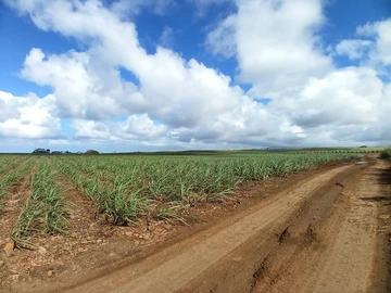 Terrain Agricole