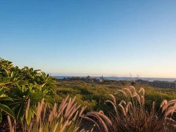 Residential Land