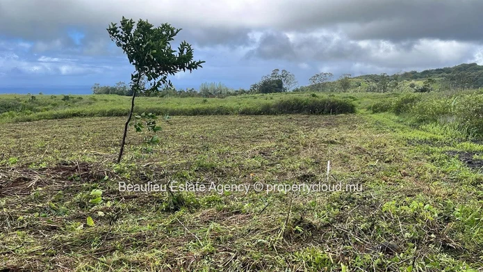 Terres agricoles à vendre – Morcellement Combo, Avalon