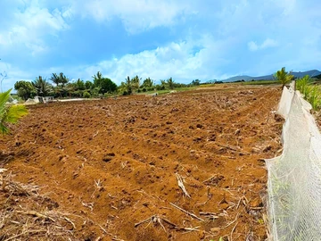 Terrain Résidentiel