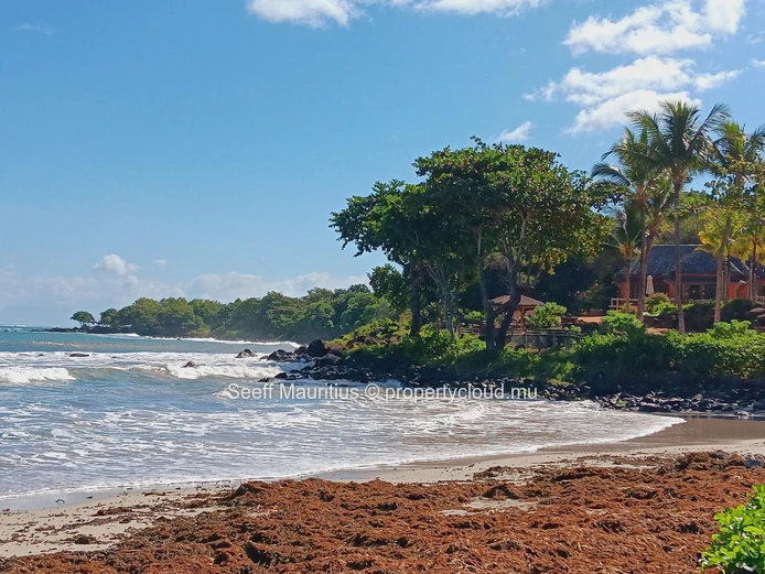 Luxurious Beachfront Living