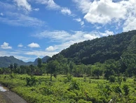 Agricultural Land