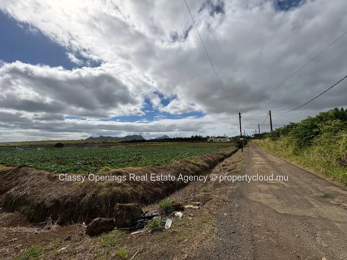 2110 m² Phoenix Commercial Land — Mountain Views, Near Bus & Shops