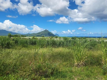 Residential Land