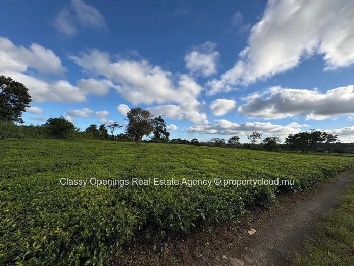 12,268 m² Cultivable Land with Mountain View & Greenhouses