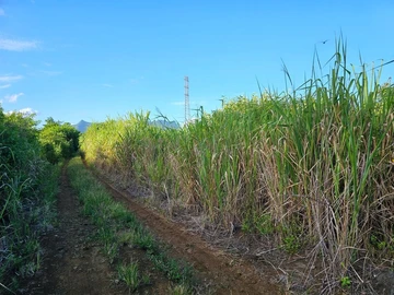 Terrain Agricole