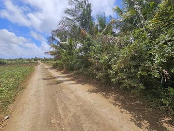 Agricultural Land