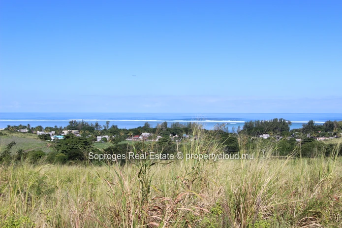 Baie du Cap - Terres agricoles de premier choix
