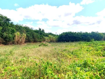 Terrain