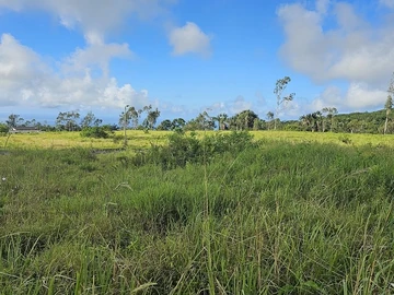 Residential Land