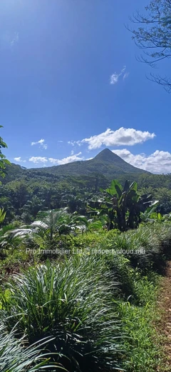 Grand terrain à vendre à Chamarel , 5 563m² avec vue imprenable.