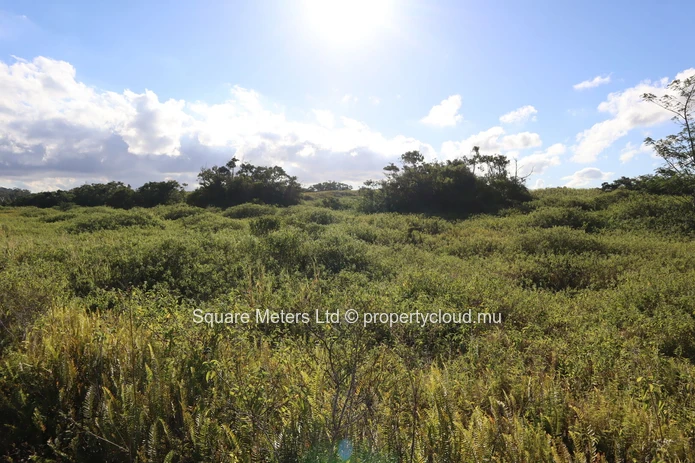 Terrain agricole de 2 111 m² à vendre à Melrose (Mandat exclusif)