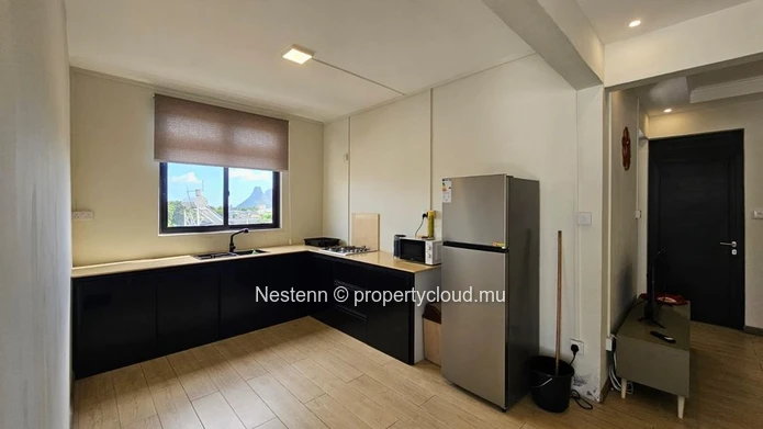Appartement moderne de 3 chambres entièrement meublé à louer | Glen Park