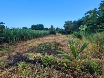 Residential Land