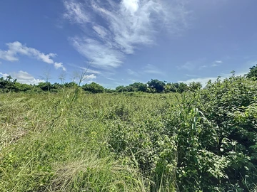 Land