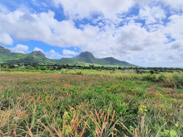 Agricultural Land