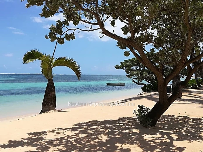 Terrain de 35 981 m2 avec vue époustouflante sur tout le Sud sauvage, idéal pour un projet immobilier
