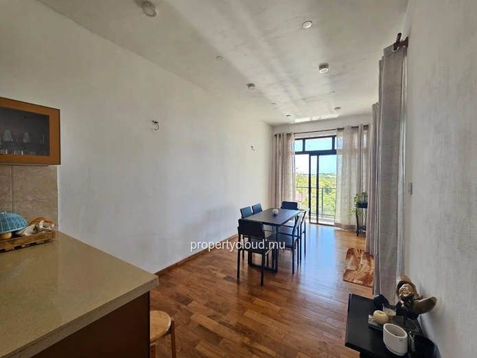 ? À LOUER – Grand appartement 3 chambres avec terrasse et roof top, vue panoramique, a Calodyne